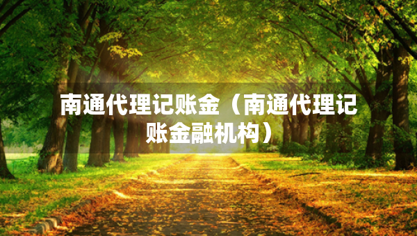 南通代理記賬金（南通代理記賬金融機構(gòu)）