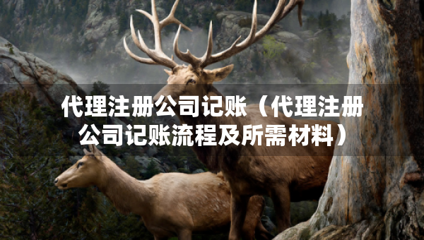 代理注冊(cè)公司記賬（代理注冊(cè)公司記賬流程及所需材料）