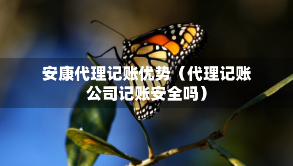 安康代理記賬優(yōu)勢（代理記賬公司記賬安全嗎）