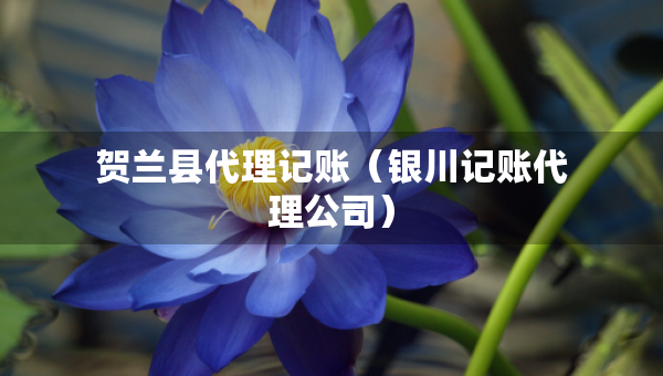 賀蘭縣代理記賬（銀川記賬代理公司）