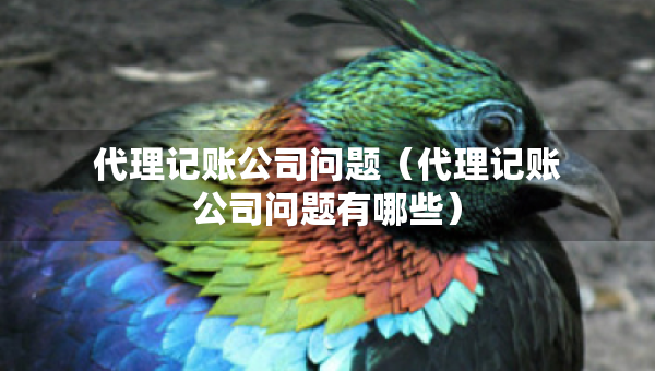 代理記賬公司問(wèn)題（代理記賬公司問(wèn)題有哪些）