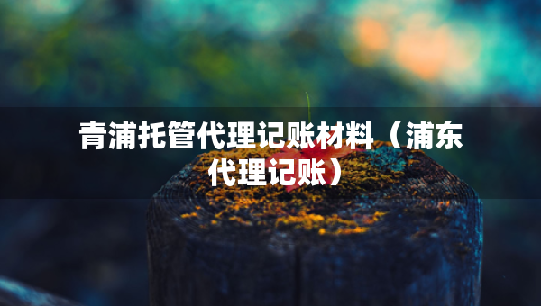 青浦托管代理記賬材料（浦東 代理記賬）