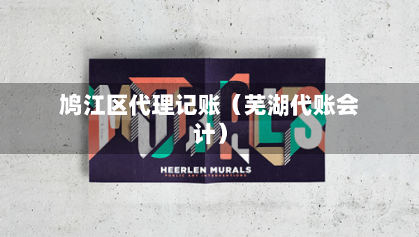 鳩江區(qū)代理記賬（蕪湖代賬會計）