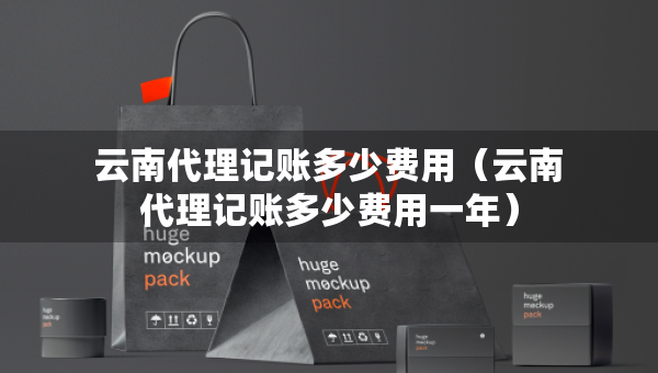云南代理記賬多少費用（云南代理記賬多少費用一年）