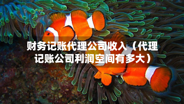 財務(wù)記賬代理公司收入（代理記賬公司利潤空間有多大）