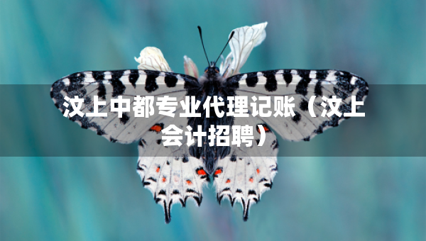 汶上中都專業(yè)代理記賬（汶上會計招聘）
