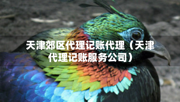 天津郊區(qū)代理記賬代理（天津代理記賬服務(wù)公司）