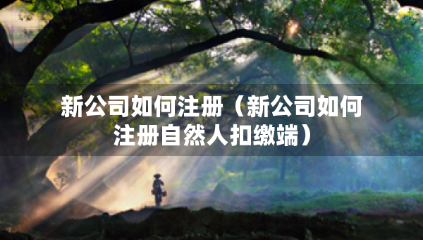 新公司如何注冊(cè)（新公司如何注冊(cè)自然人扣繳端）