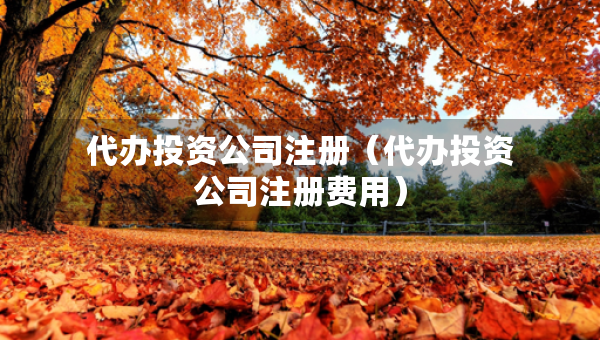 代辦投資公司注冊(cè)（代辦投資公司注冊(cè)費(fèi)用）