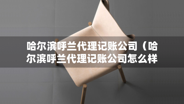 哈爾濱呼蘭代理記賬公司（哈爾濱呼蘭代理記賬公司怎么樣）