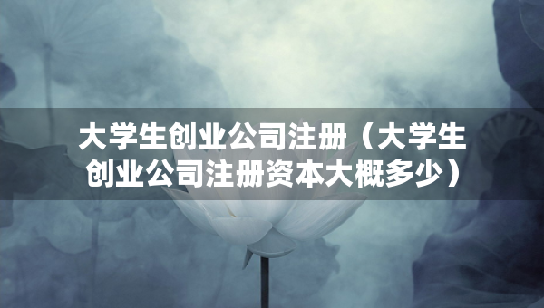 大學生創(chuàng)業(yè)公司注冊（大學生創(chuàng)業(yè)公司注冊資本大概多少）