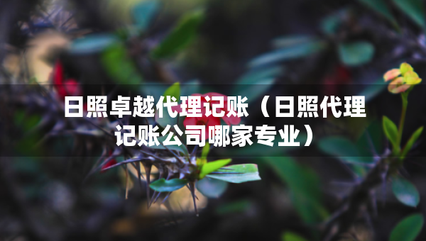 日照卓越代理記賬（日照代理記賬公司哪家專業(yè)）