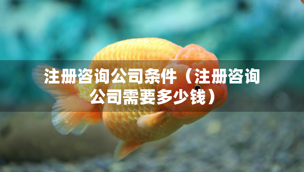 注冊(cè)咨詢(xún)公司條件（注冊(cè)咨詢(xún)公司需要多少錢(qián)）