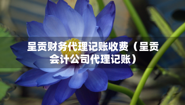 呈貢財務代理記賬收費（呈貢會計公司代理記賬）