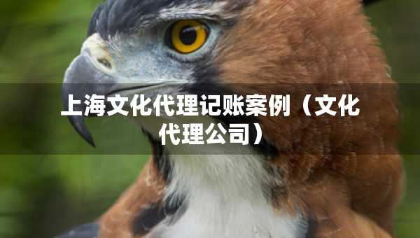 上海文化代理記賬案例（文化代理公司）