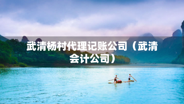 武清楊村代理記賬公司（武清會計公司）