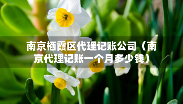 南京棲霞區(qū)代理記賬公司（南京代理記賬一個月多少錢）