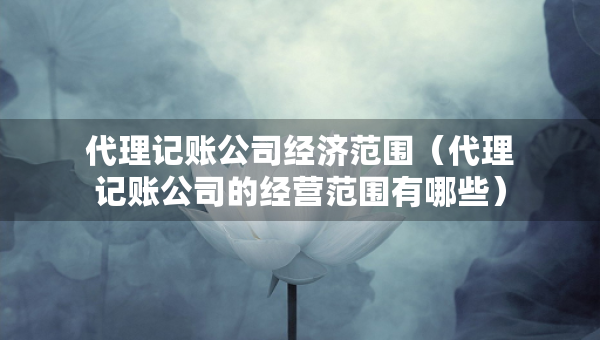 代理記賬公司經(jīng)濟(jì)范圍（代理記賬公司的經(jīng)營范圍有哪些）