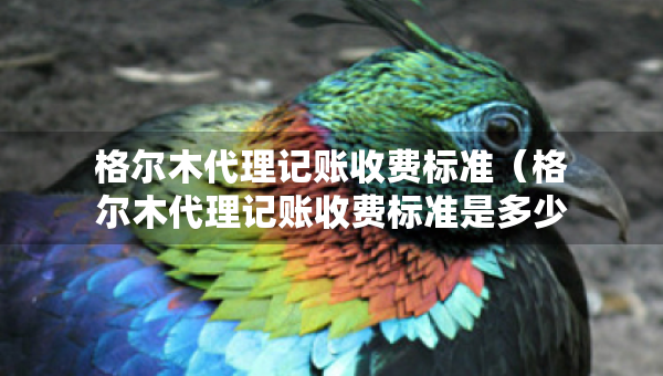 格爾木代理記賬收費標準（格爾木代理記賬收費標準是多少）