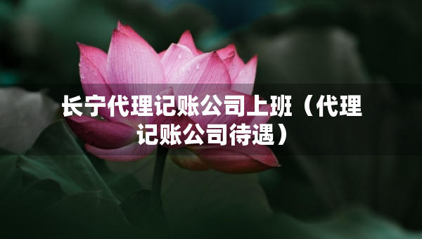 長寧代理記賬公司上班（代理記賬公司待遇）