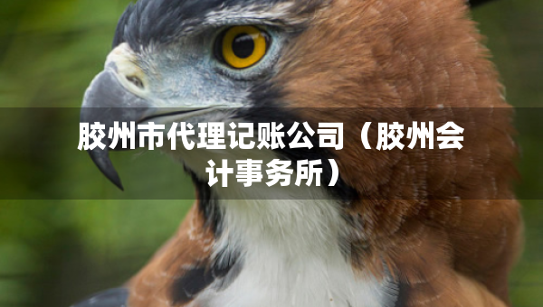 膠州市代理記賬公司（膠州會(huì)計(jì)事務(wù)所）