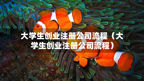 大學(xué)生創(chuàng)業(yè)注冊公司流程（大學(xué)生創(chuàng)業(yè)注冊公司流程）