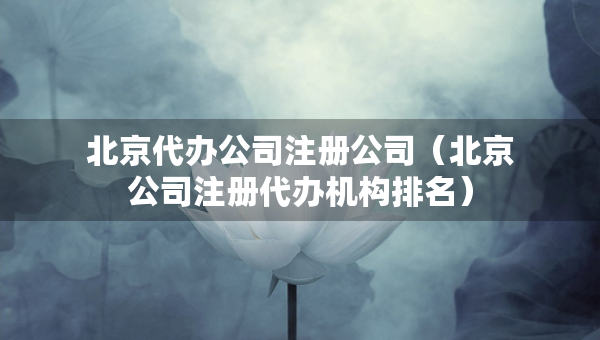 北京代辦公司注冊公司（北京公司注冊代辦機構(gòu)排名）