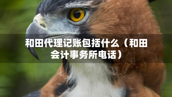 和田代理記賬包括什么（和田會計事務(wù)所電話）